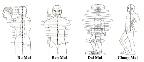 bao mai meridian